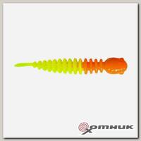 Резина в банке CHUB, цвет 22 TROUT BAIT