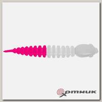 Резина в банке CHUB, цвет 8 TROUT BAIT