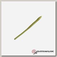Резина в банке, WORM, цвет 06 TROUT BAIT