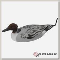 Чучело утиное пенопласт Шилохвость селезень