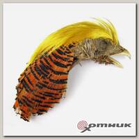 Целый скальп золотого фазана Golden Pheasant Head I GRADE NATURAL FLY-FISHING (GPH-I001)