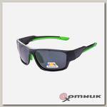 Очки поляризационные в чехле (серый) (PR-OP-1197-G) Premier Fishing