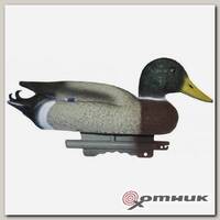 Муляж утки STD 01 кряква селезень Sport Plast