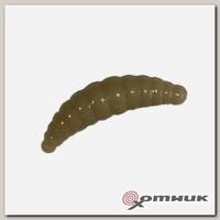 Резина в банке MAGGOT, цвет 9 TROUT BAIT