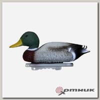 Муляж утки LC 01 Селезень Sport Plast