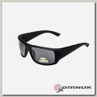 Очки поляризационные в чехле (серый) (PR-OP-9390-G) Premier Fishing