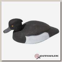 Чучело утиное пенопласт Хохлатая Чернеть селезень магнум