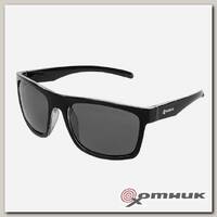 Очки поляризационные в жест.чехле (N-OP-LZ0308-G) Nisus