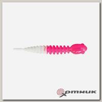 Резина в банке CHUB, цвет 11 TROUT BAIT