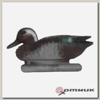 Чучело Чирок-трескунок селезень Кубаньпласт