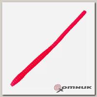 Резина в банке, WORM, цвет 03 TROUT BAIT
