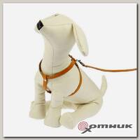 Комплект для кошек и мелких собак, шлейка 58 см и поводок 140 см (1453233)