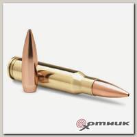 Патрон Rem 223 (REM 62 HP Match (22106), США)