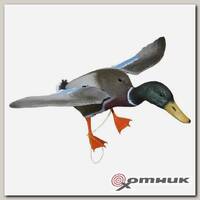 Муляж утки (селезень) FLP 01 крылья с механическим приводом Sport Plast