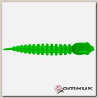 Резина в банке CHUB, цвет 4 TROUT BAIT