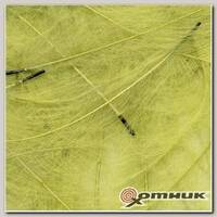Отборные перья CDC-Feathers 5 гр. Light yellow MARC PETITJEAN FLY-FISHING