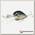 Воблер Clutch DR 270 MS American Shad Lucky Craft