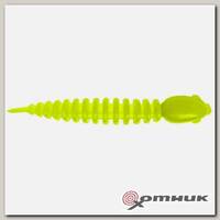 Резина в банке CHUB, цвет 5 TROUT BAIT